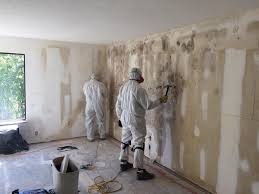 Best Industrial Mold Remediation  in Renovo, PA